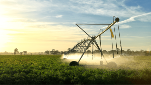 Bewässerung in der Landwirtschaft